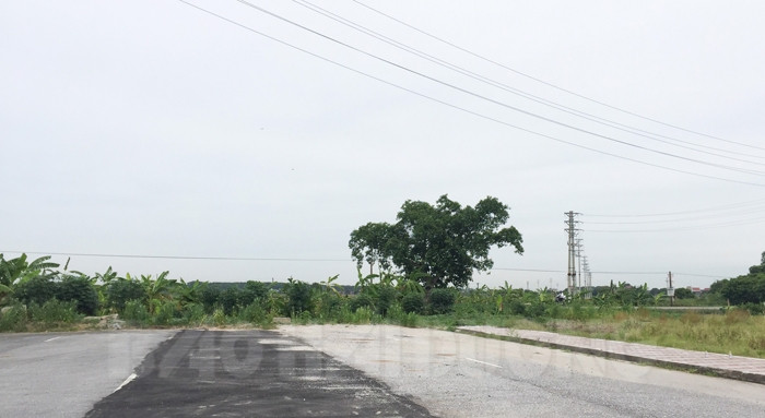 Expanded Tan Truong industrial park